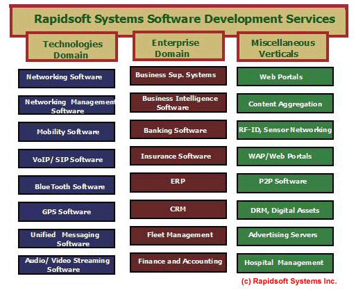 Rapidsoft Custom Software Services