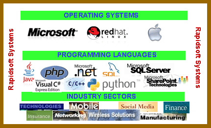RapidSoft Systems Software